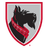 Carnegie Mellon Tartans