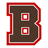 Brown Bears