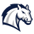 Hillsdale Chargers