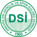 Ankara D.S.I.
