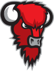 Bisons Loimaa