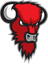 Bisons Loimaa