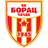 Borac Čačak