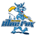 Herning Blue Fox