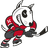 Niagara IceDogs