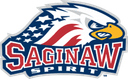 Saginaw Spirit