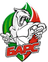 Bars Kazan