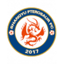 Shangyu Pterosaur