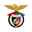 Penya Encarnada