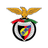 Penya Encarnada